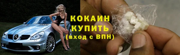 стаф Осинники