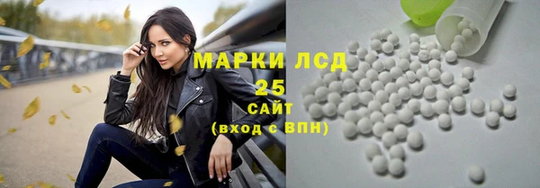 индика Малоярославец