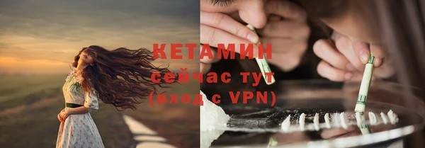 стаф Осинники