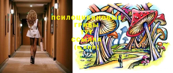 стаф Осинники