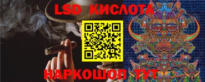 СК Гагарин