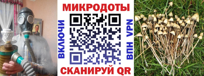 omg сайт  Надым  Псилоцибиновые грибы Psilocybe 