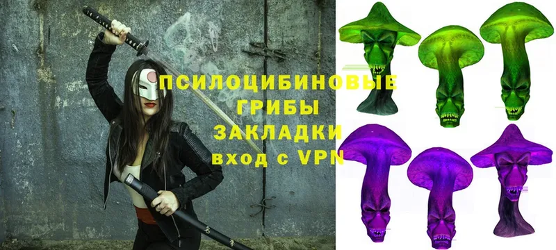 закладки  MEGA сайт  Псилоцибиновые грибы Psilocybe  Надым 