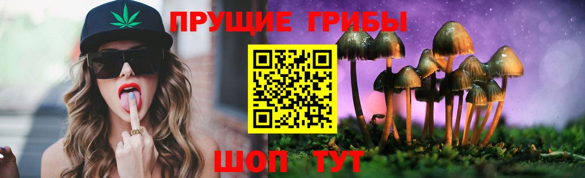 Галлюциногенные грибы Psilocybine cubensis  Вход с VPN  Надым 